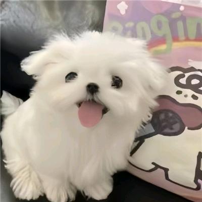 迷迷茫茫的慕容