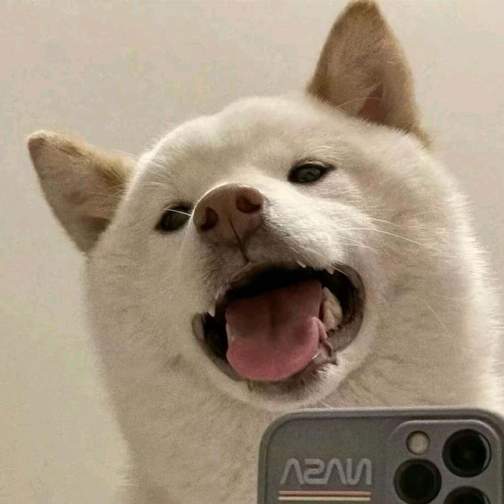伱好