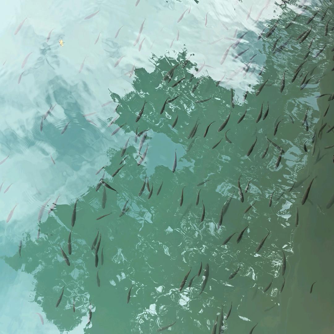 &我是你的染色剂&