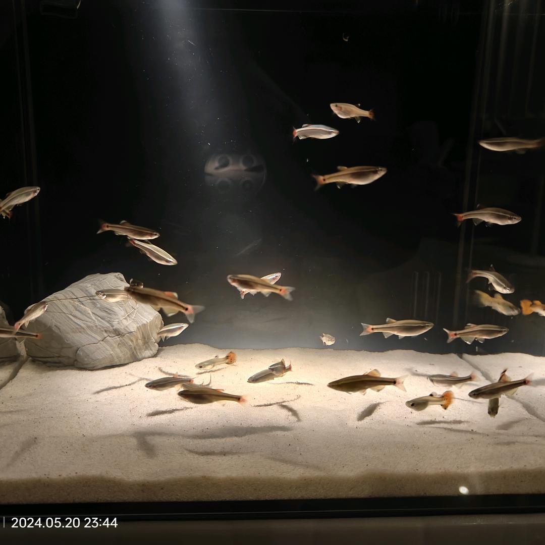 奈何桥头壹碗湯