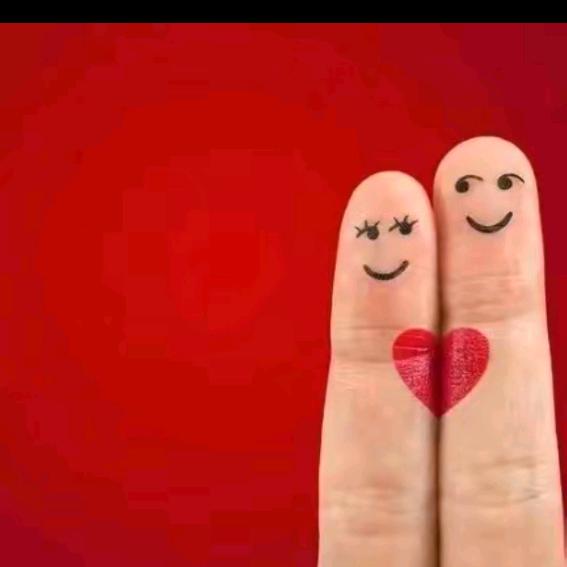 爱在橄榄城户外直播