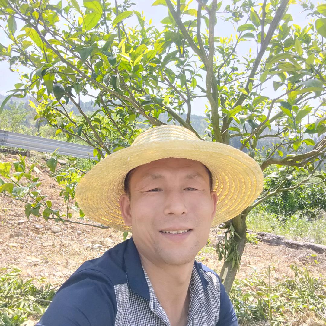 重庆巫山大溪开峡六社水果种植地