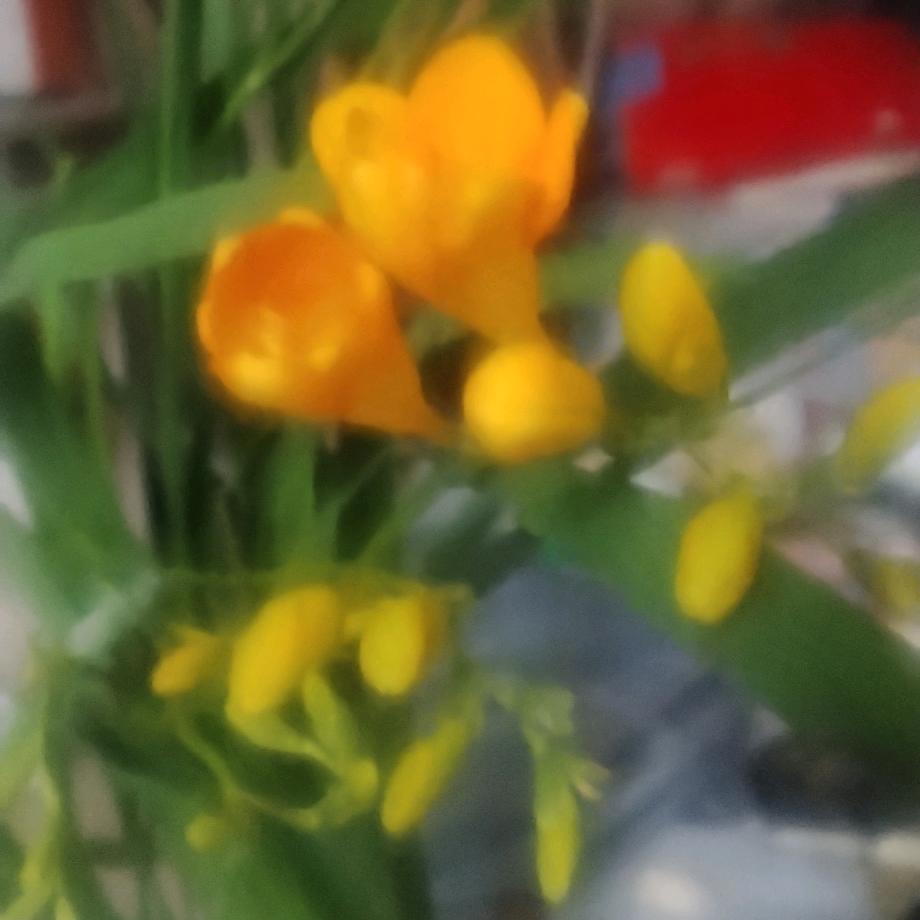 友谊正能量