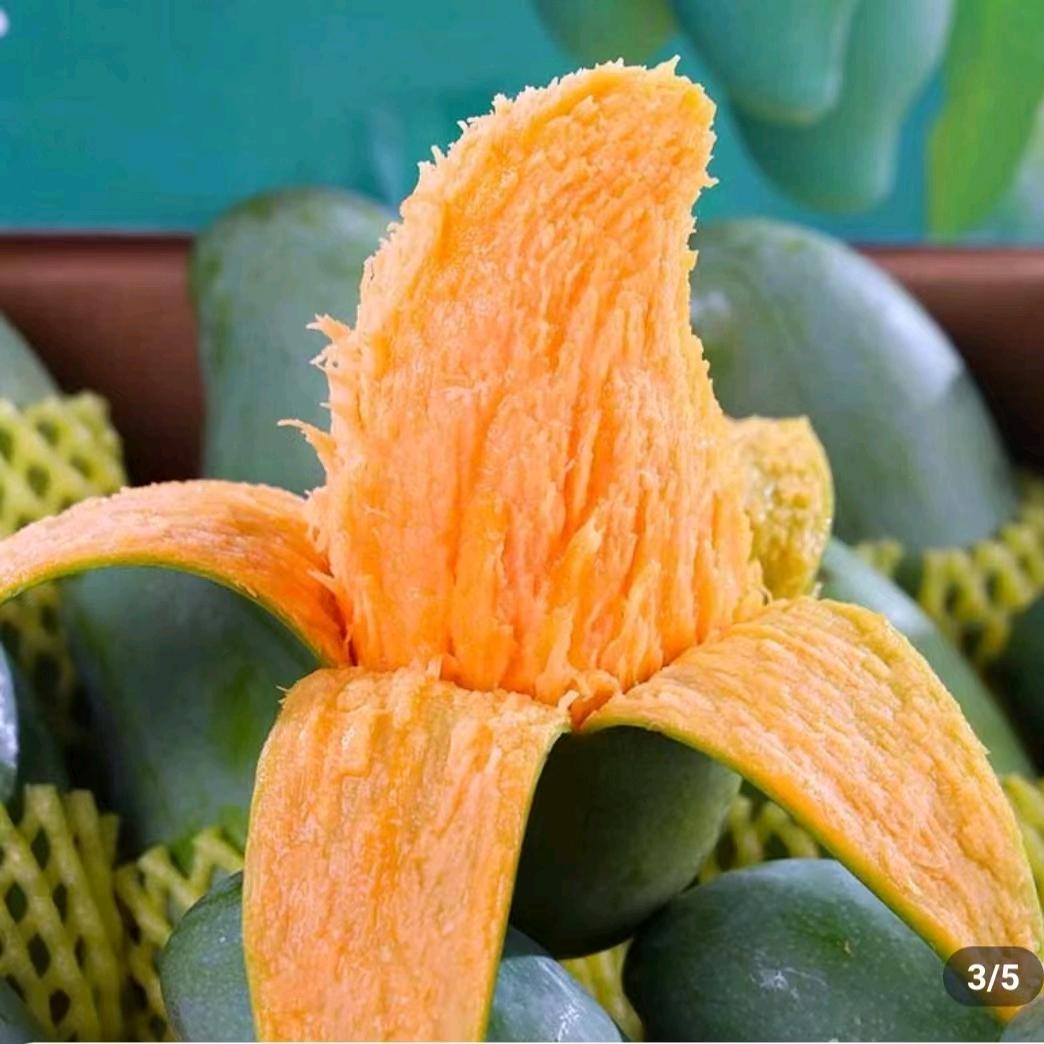 百色沛水果<代办>