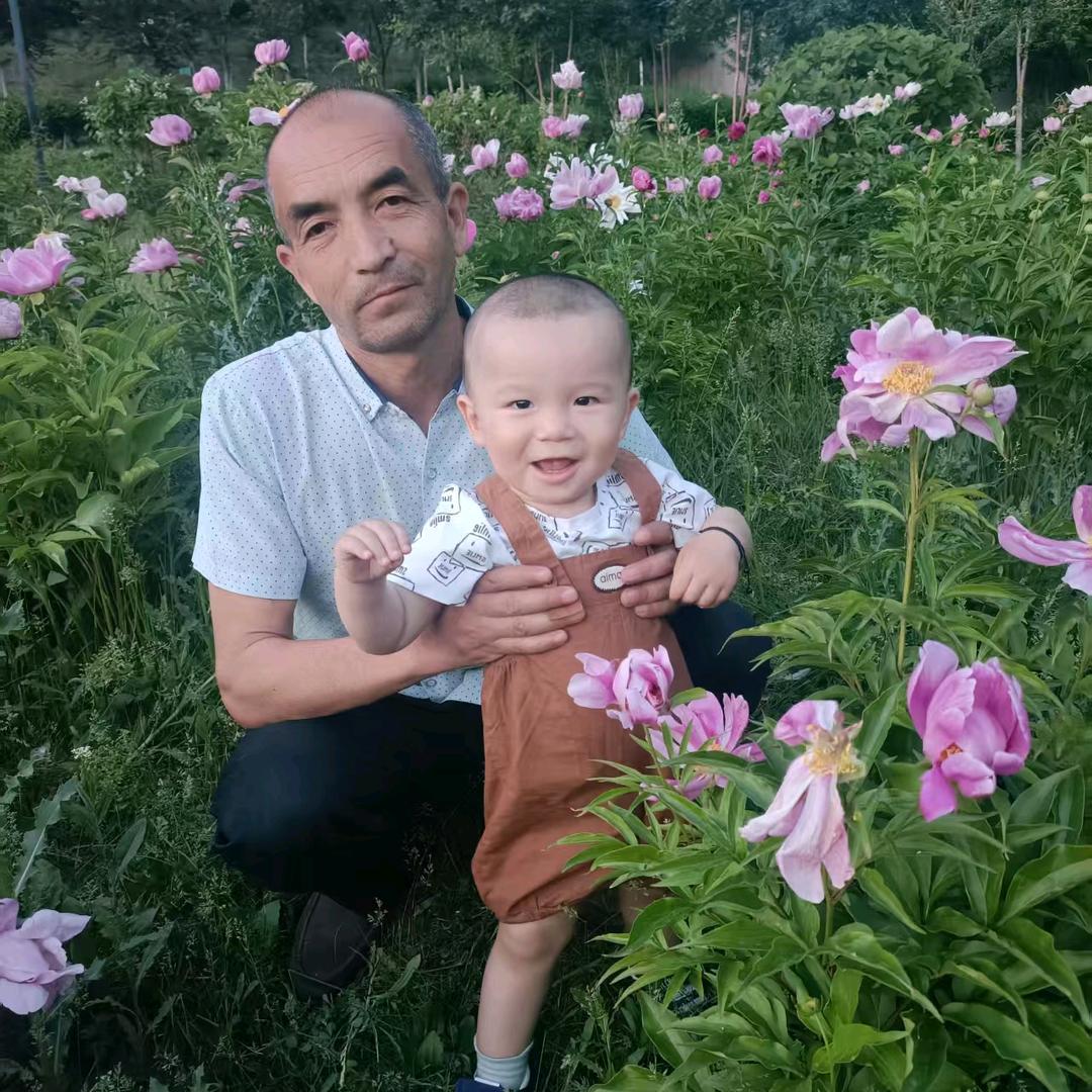 塔依尔
