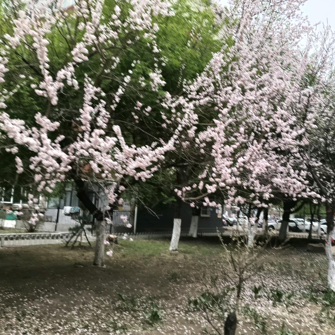 闹