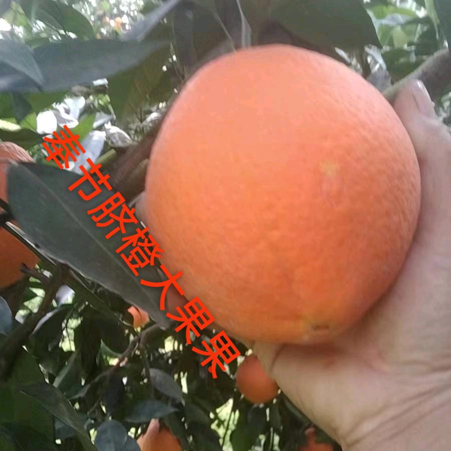 服务周全