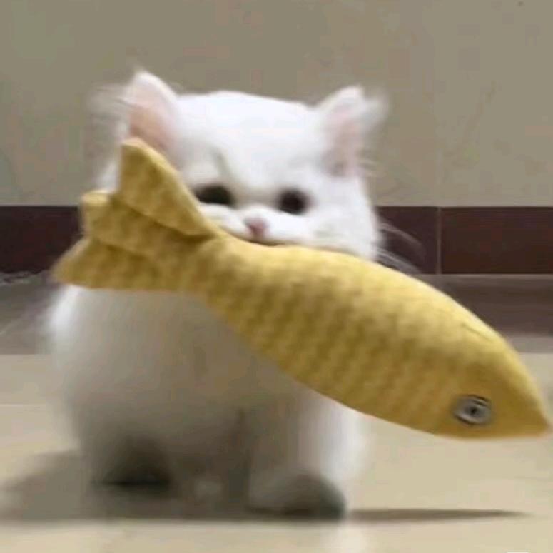 77.
