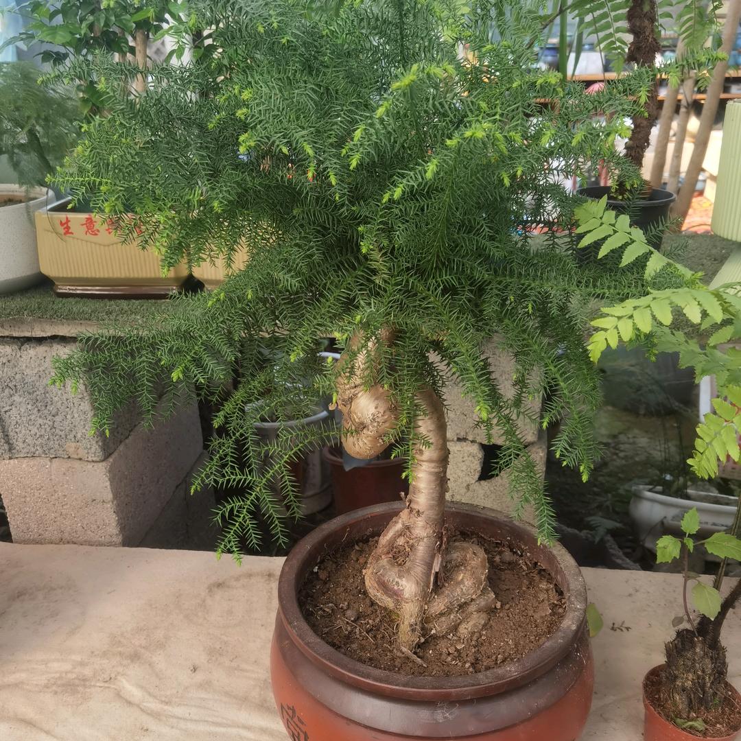 沦落天涯