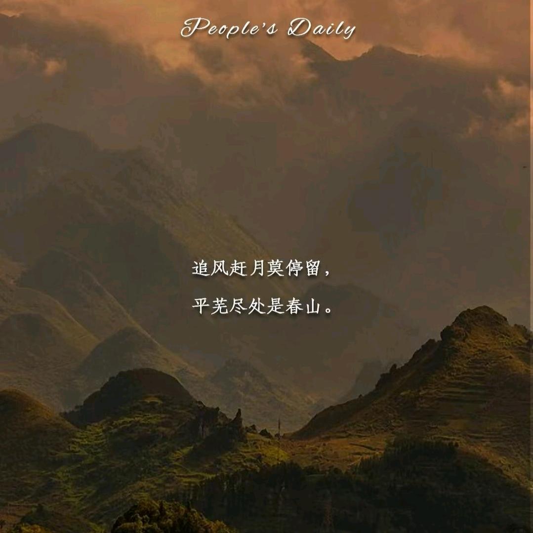 玉米面