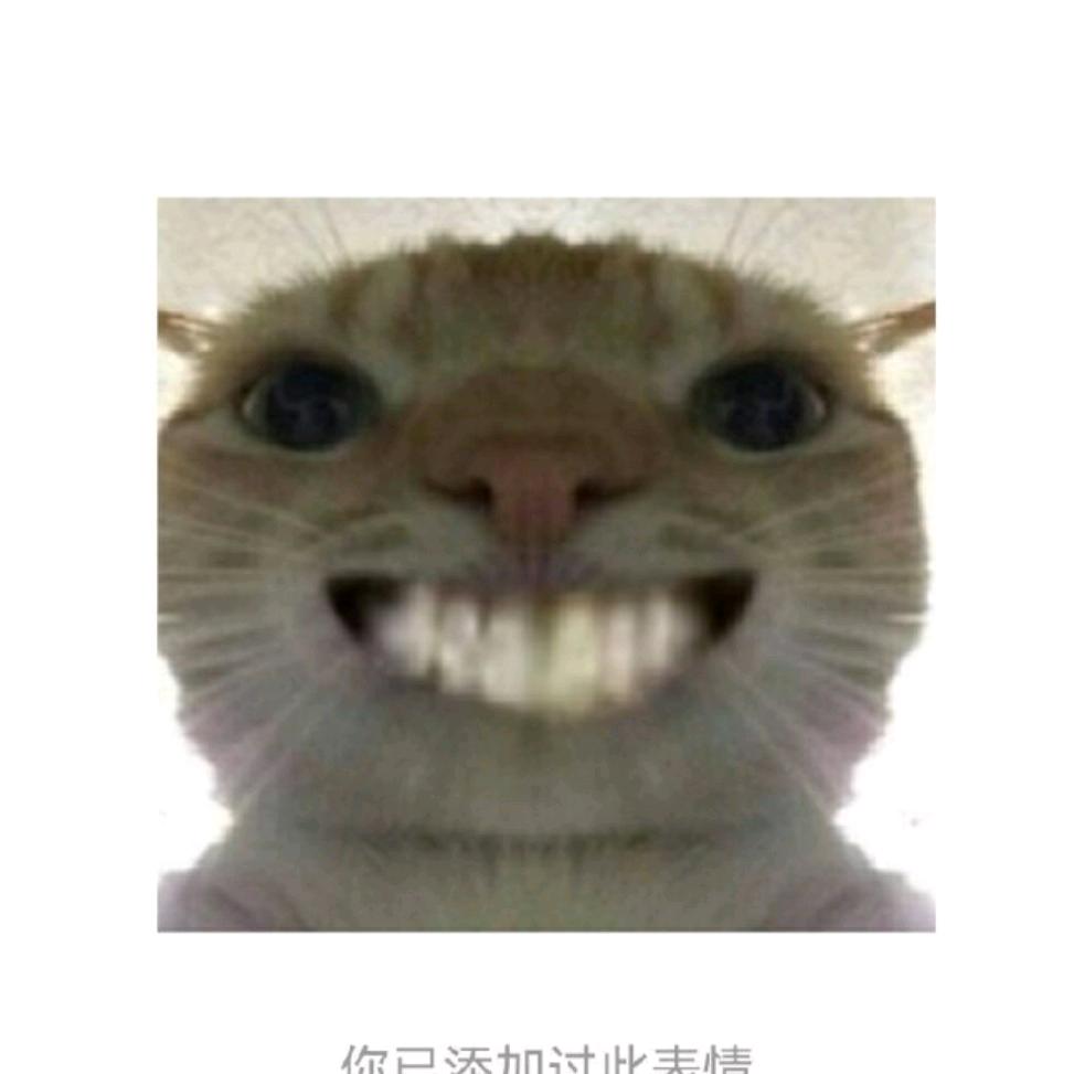 魉
