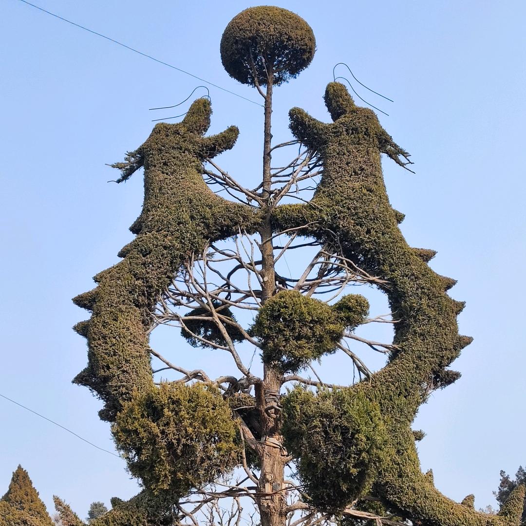 金轩诺。。。。。