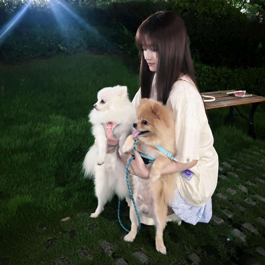 小丸子Y