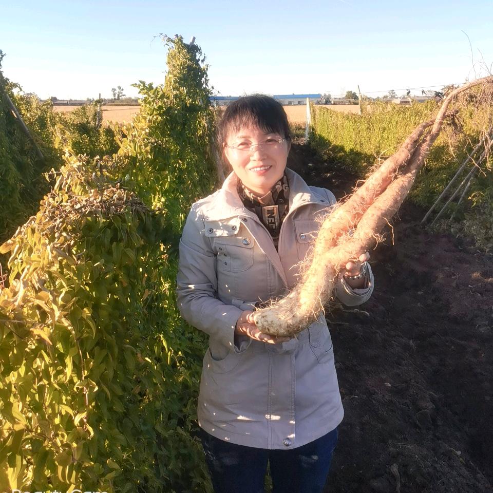 桦川县万兴农产品种植专业合作社