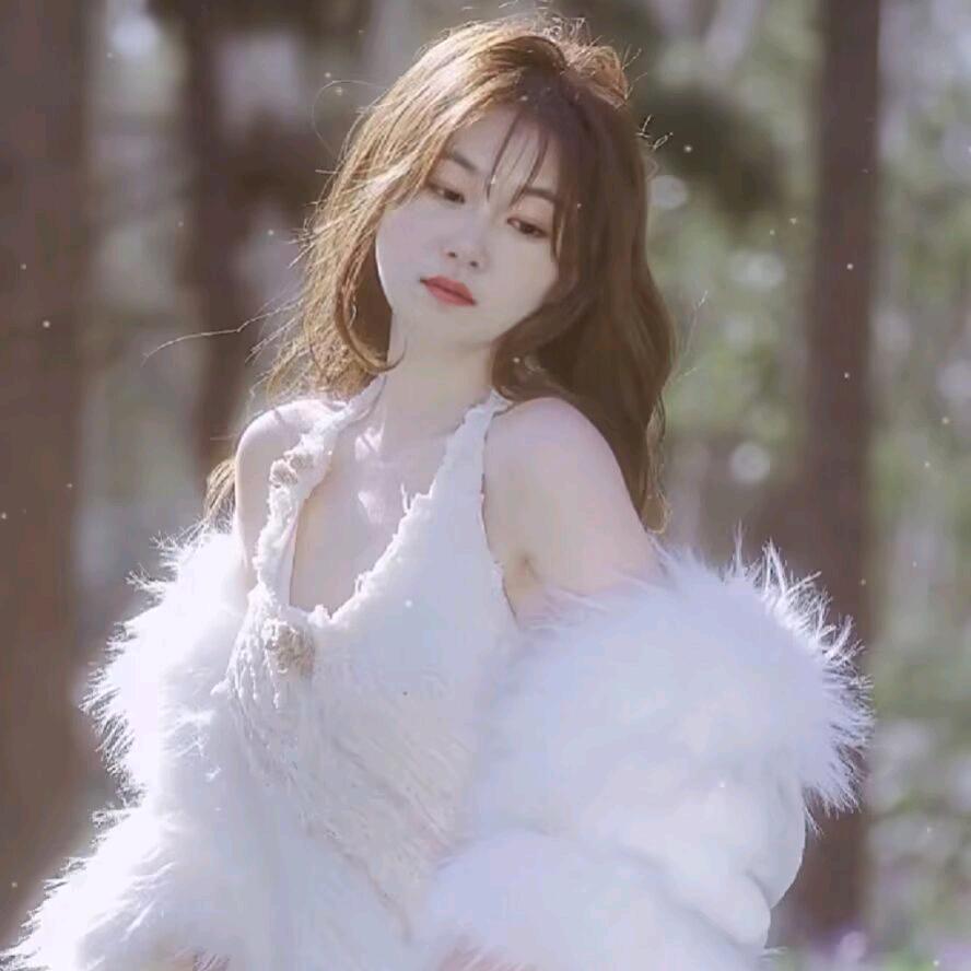 奚宝