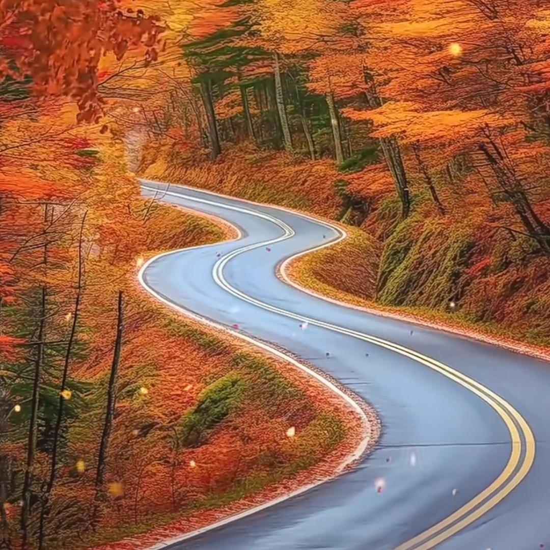 🏃相信的力量🕶