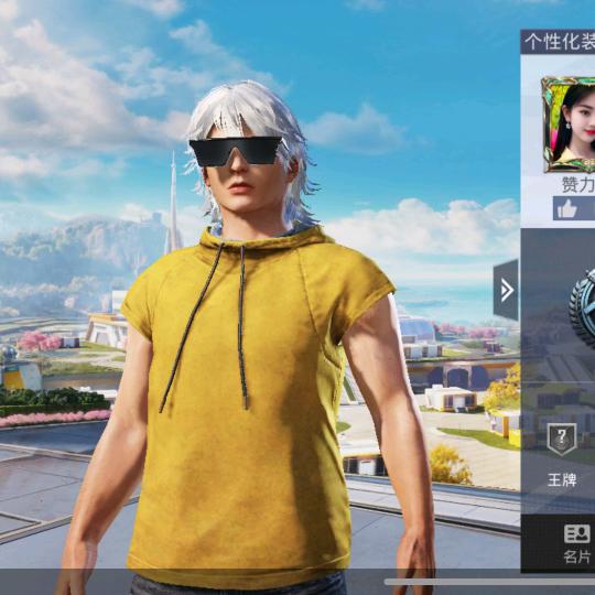 陈裔航666