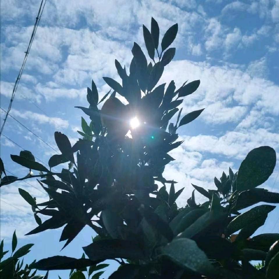 春暖🌸开