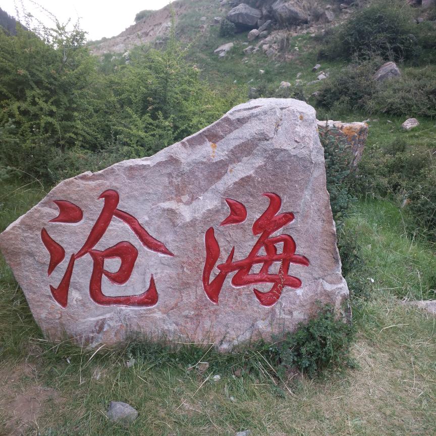 执手听风