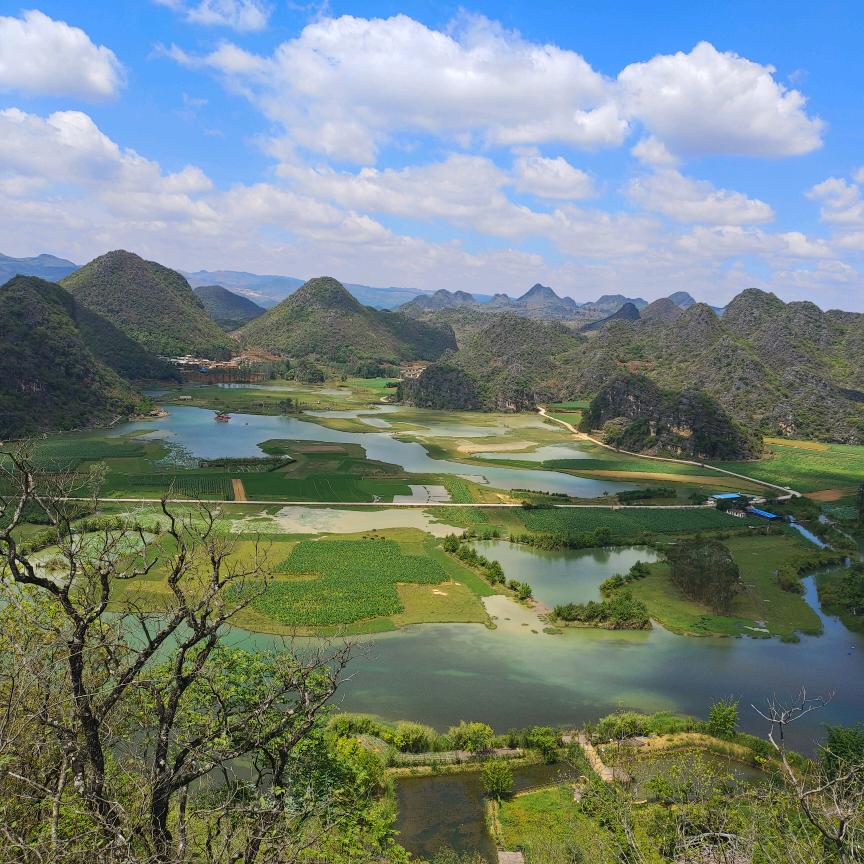 荼靡（丘北出租车）