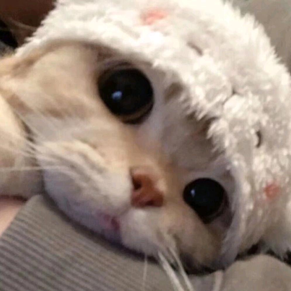 lover（发财逆袭版）