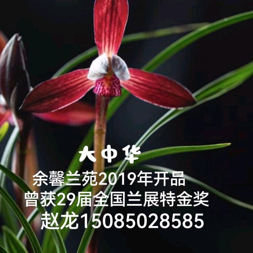 余馨兰苑