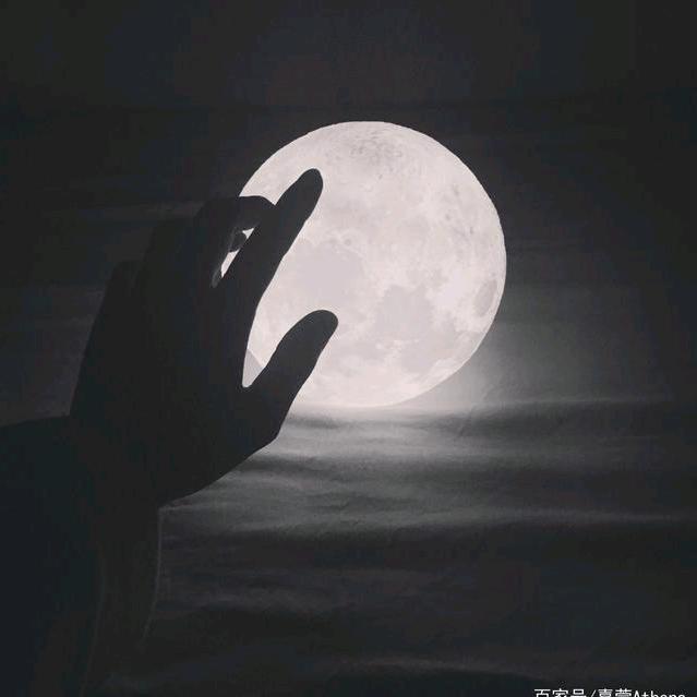 鲸落@