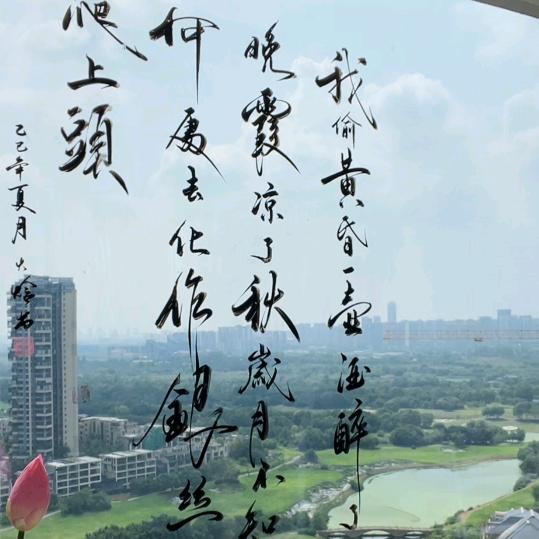 梦里的梦