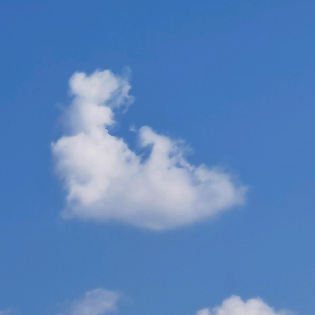 এ᭄浅笑不语꧔ꦿ᭄