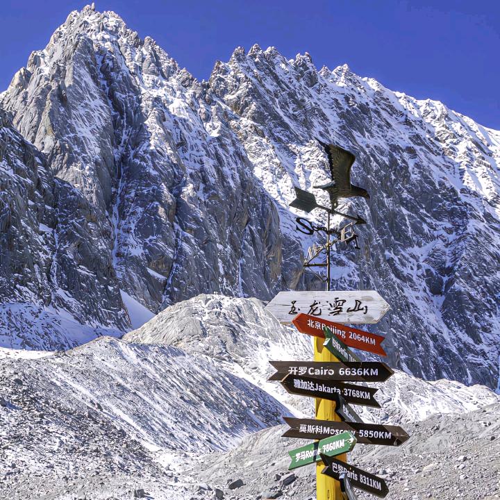 独行的棕鹿ට˓˳̮ට