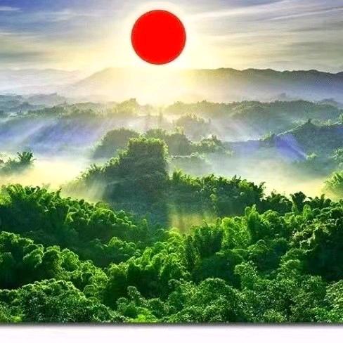 全屋定制霞姐