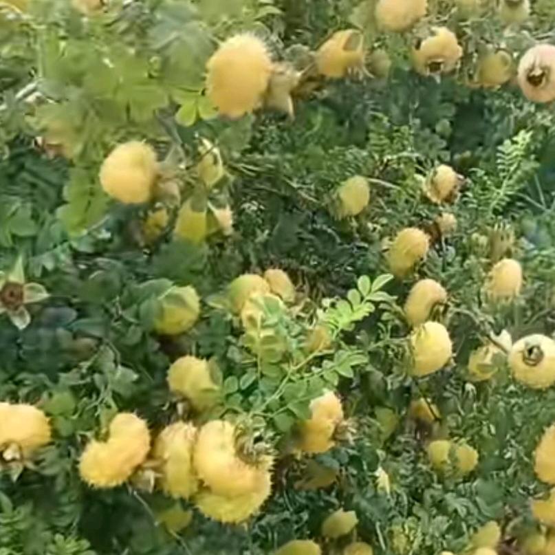 我很好