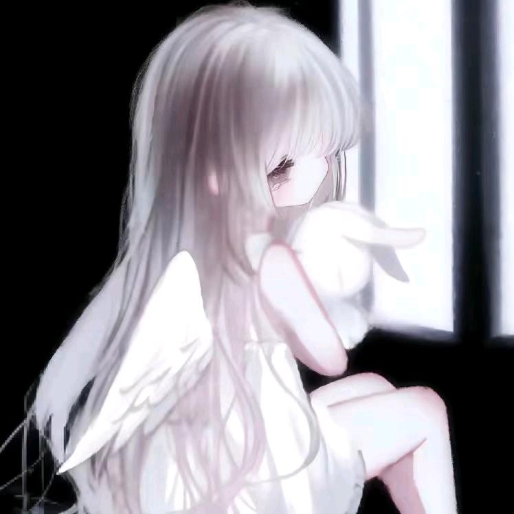 星闪闪