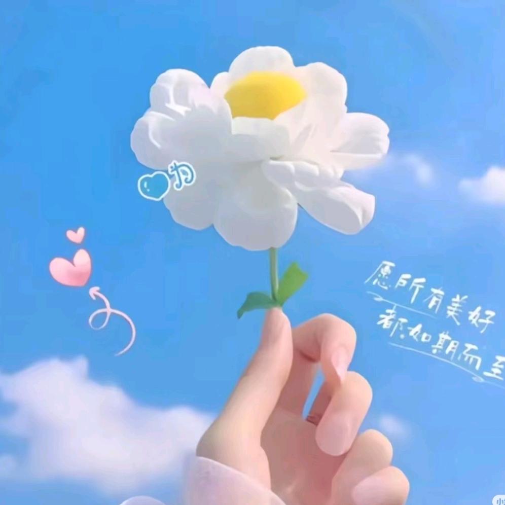 余生好运