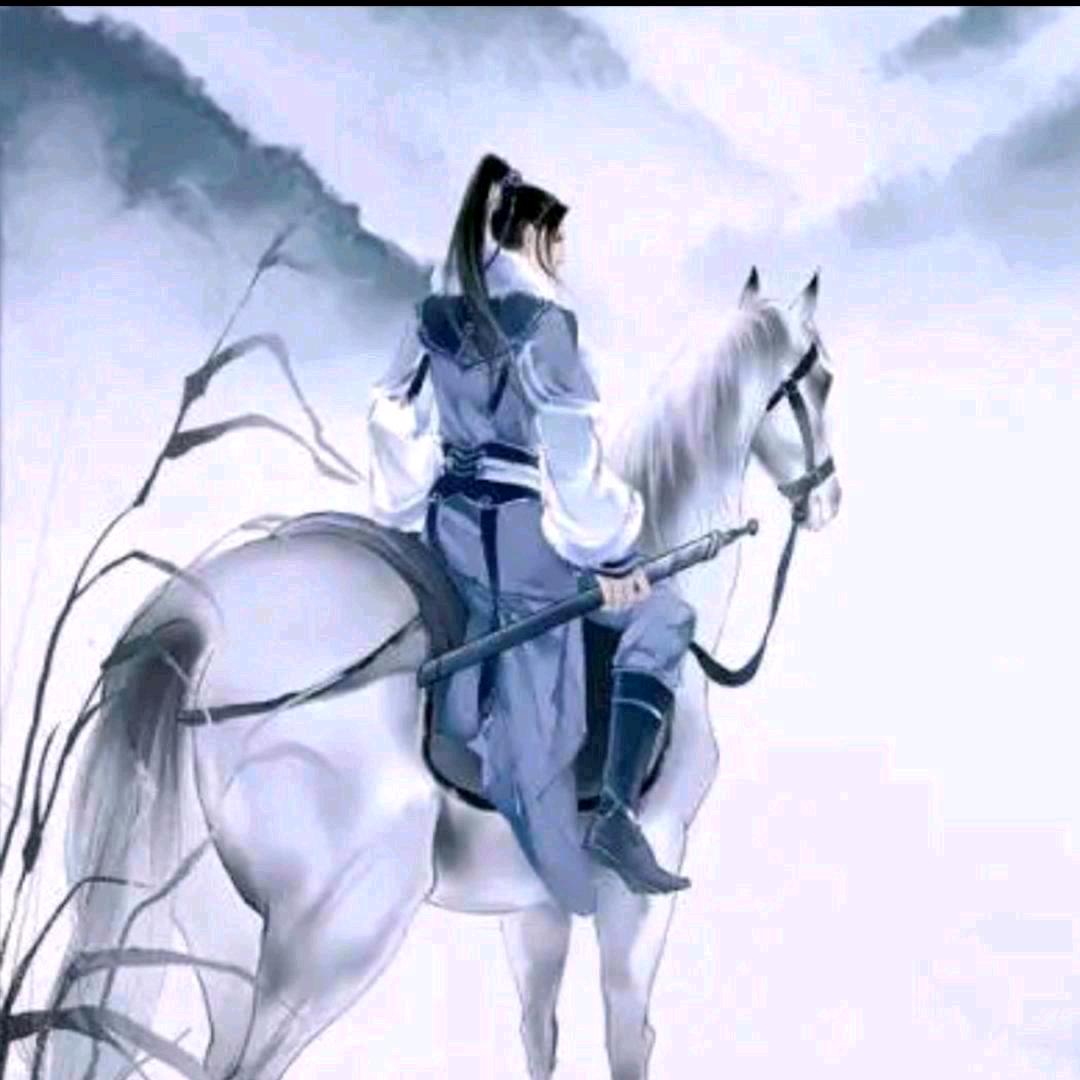 纵横四海