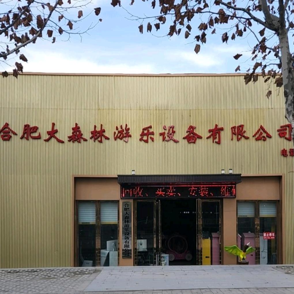 合肥大森林游乐设备有限公司(销售及回收）