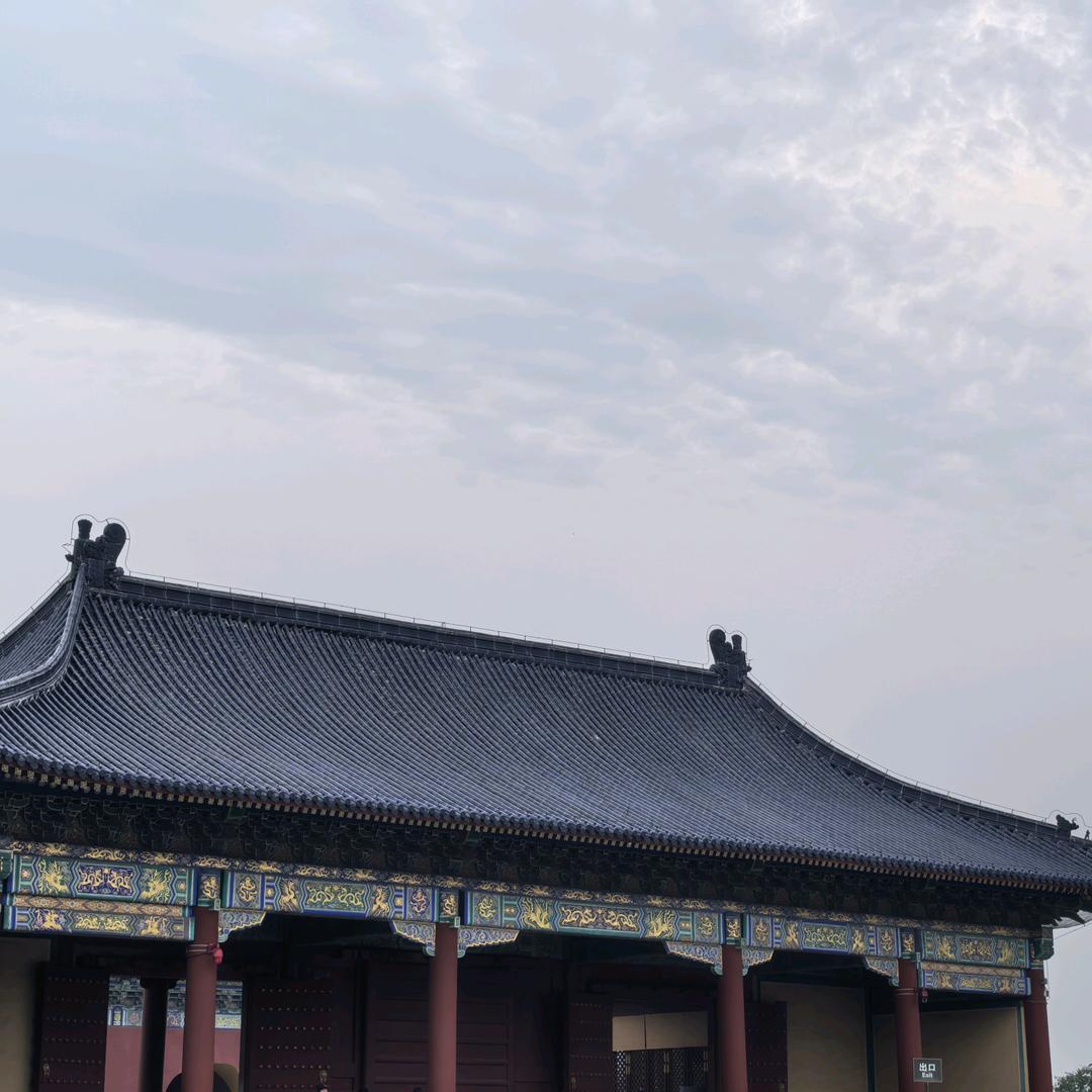 麻将竞技