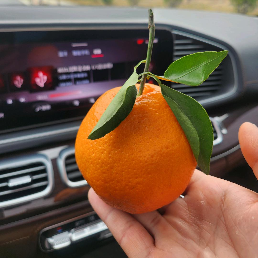 梦阁泰电动葫芦