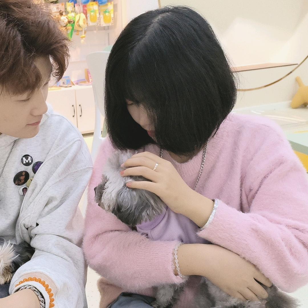 菜滑·小豪很菜