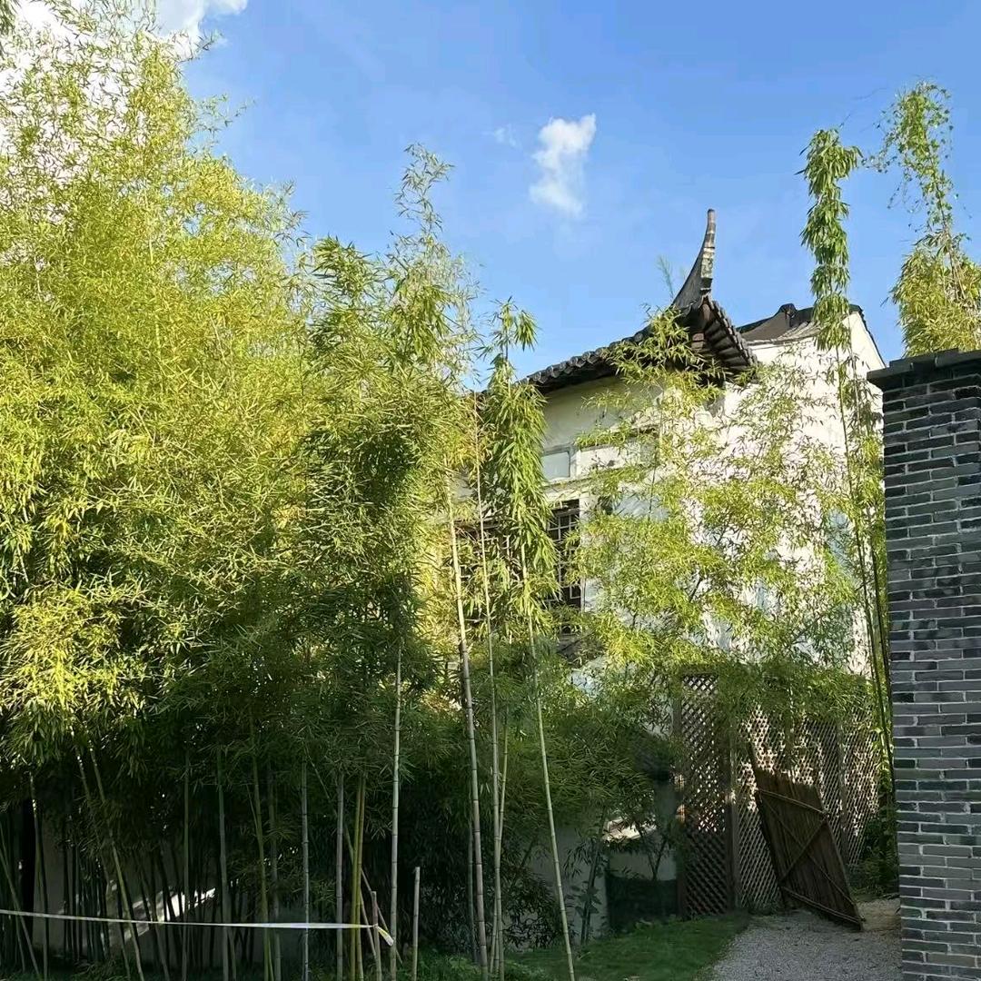 兴8台球🎱俱乐部