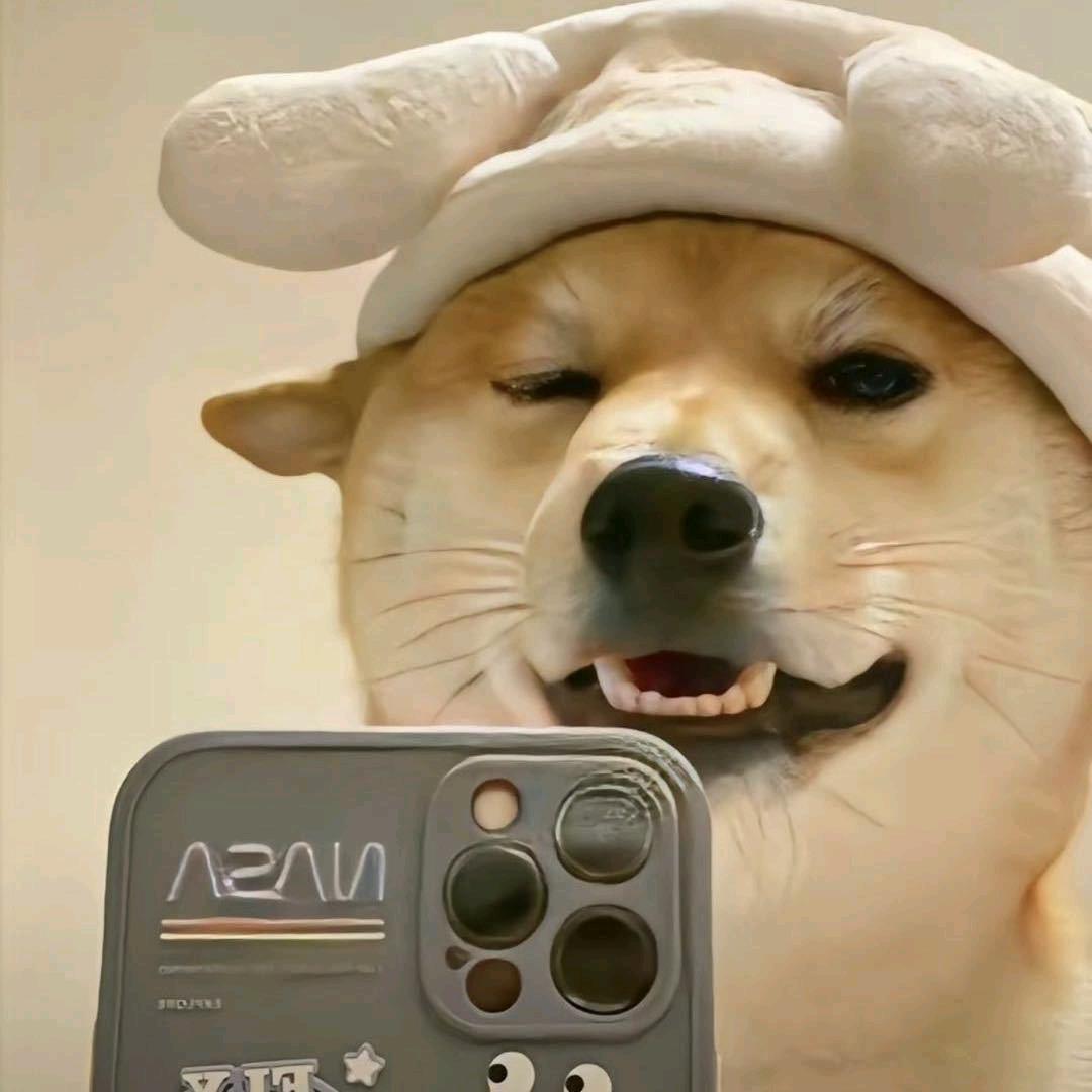 师傅,八十一难差一难呐(>_<)