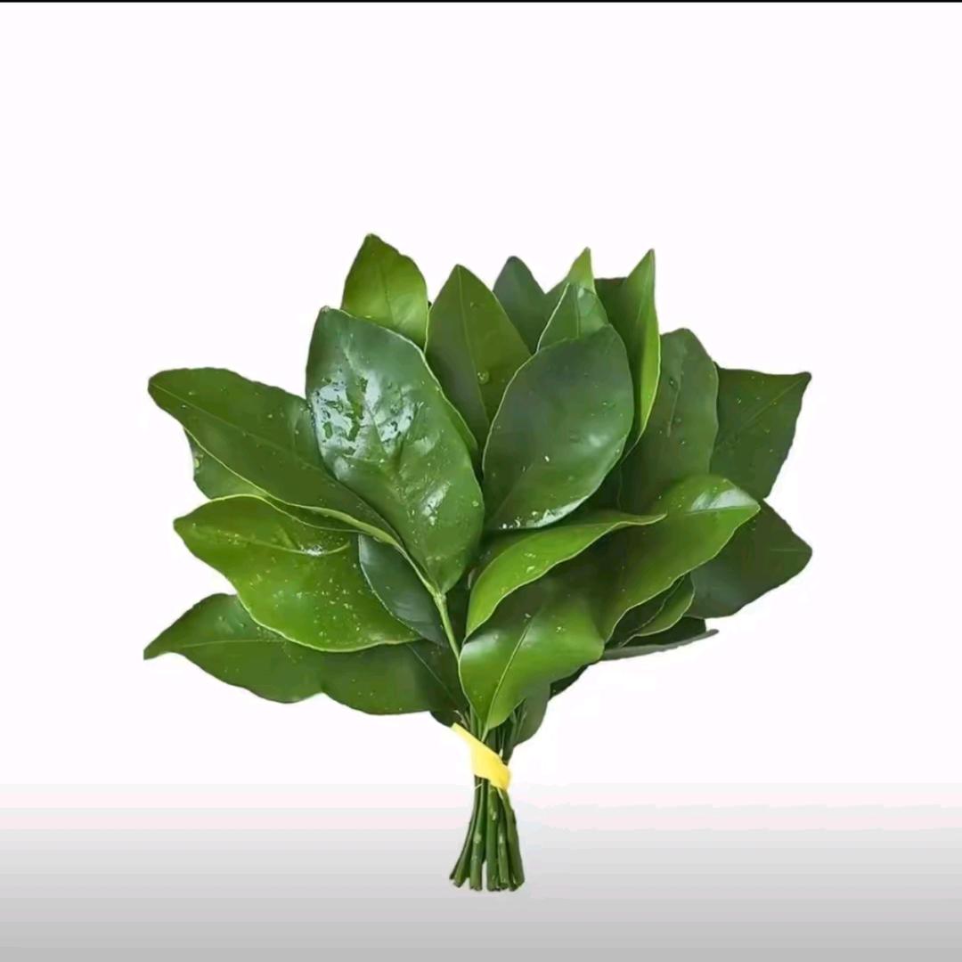 李子不贵.