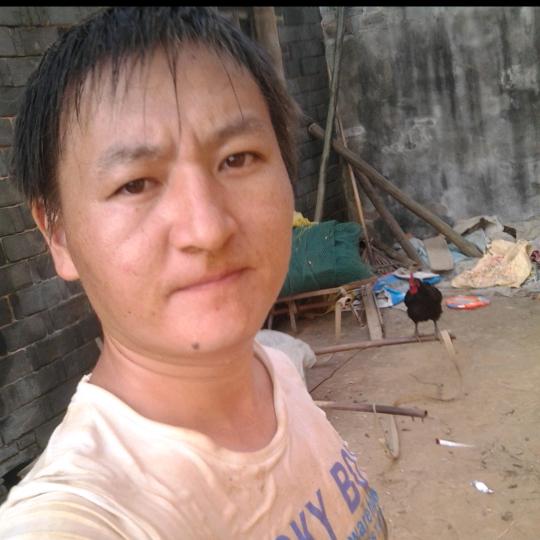 梦想