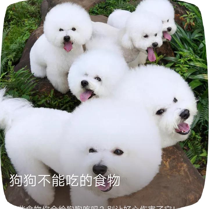 重庆奉节县销售部