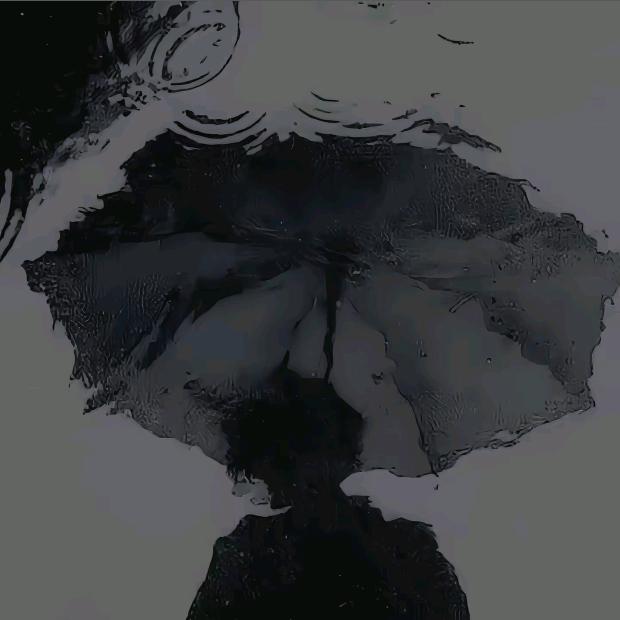 枫