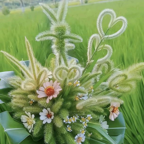 时光&静好
