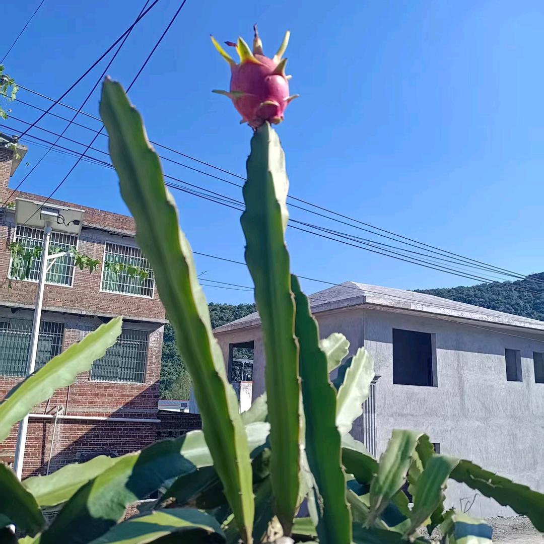 太有个性拉🌸🌸🌸