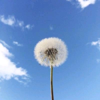 九转功成