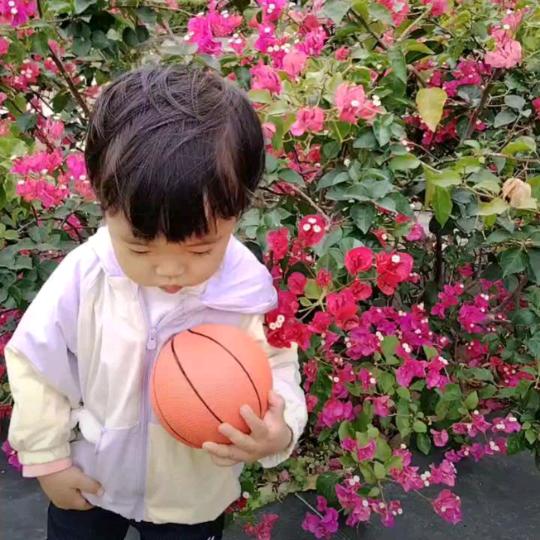 顾嘉汇选红木家具