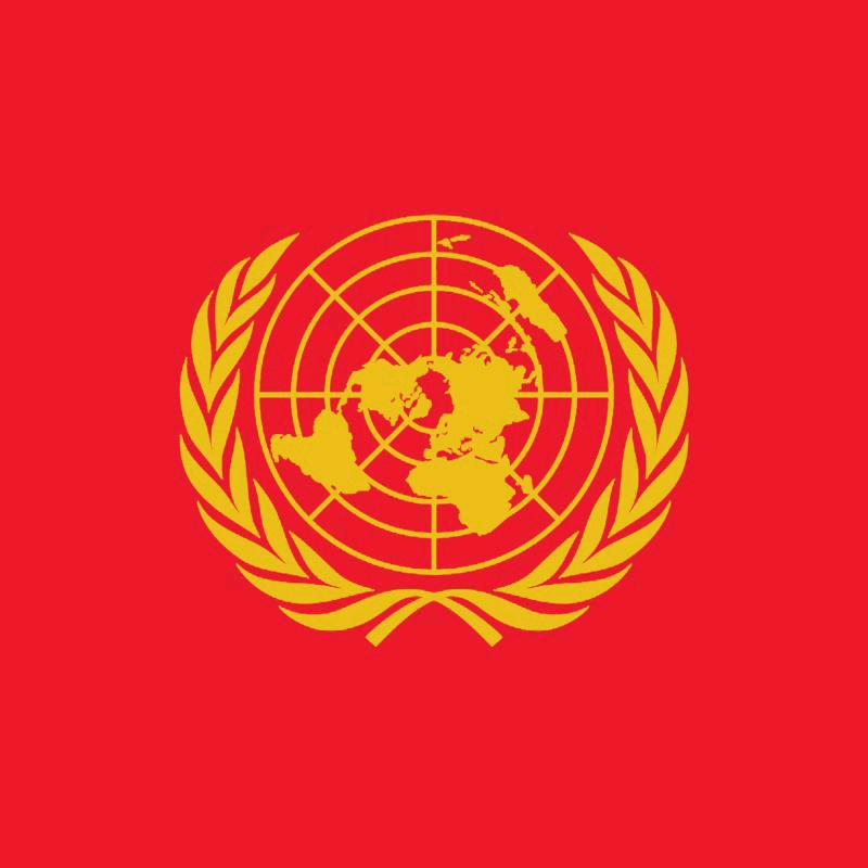 xingchen493349星辰